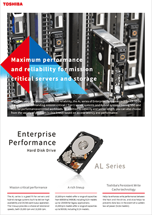 Enterprise Performance