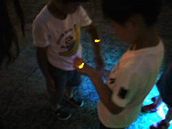 萤火虫在孩子们的手中发光