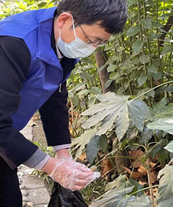 环保从我做起