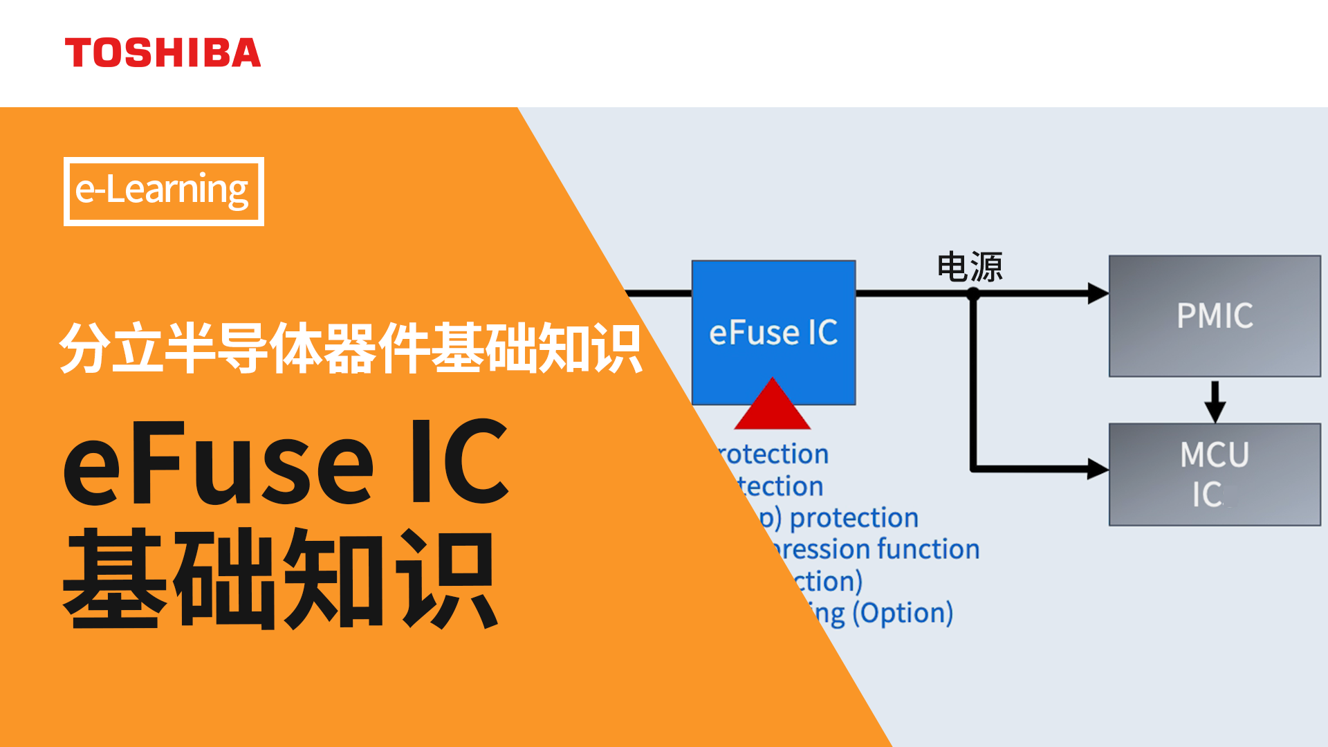 e-Learning eFuse IC