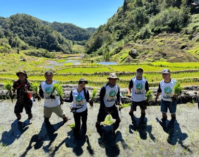 Rice Planting 