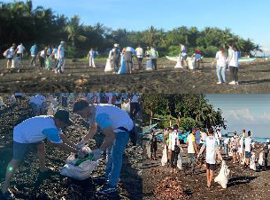 Sea Turtle Conservation Program