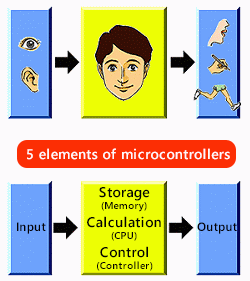 微控制器的五个要素